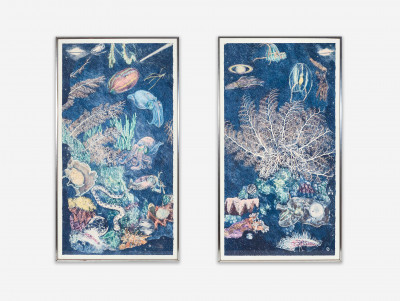 Image for Lot Ann McCoy - The Night Sea I and II