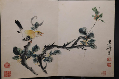 Album of Birds and Flowers Paintings each signed