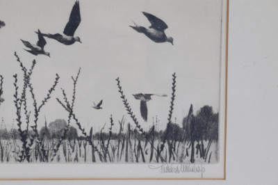 Richard Bishop (18871975) 'Dove Field' Etching
