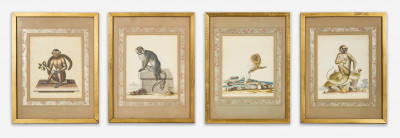 Image for Lot George Edwards - Four Monkey Prints