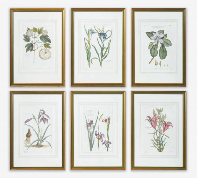Image for Lot Group of Six Botanical Prints