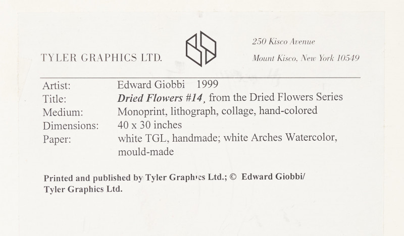 Edward Giobbi - Dried Flowers #14 (From the Dried Flowers Series)