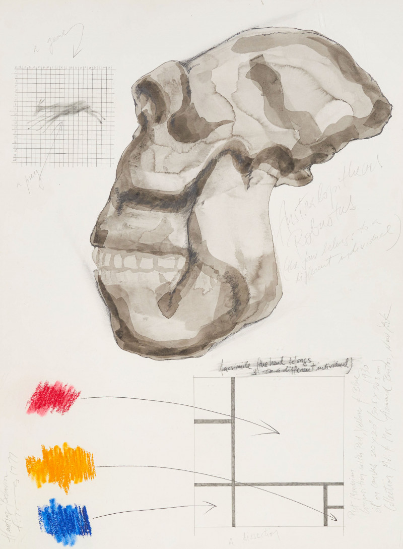 Unknown Artist - Untitled (Australopithecus skull and a deconstructed Mondrian)