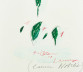 Image for Artist Cy Twombly