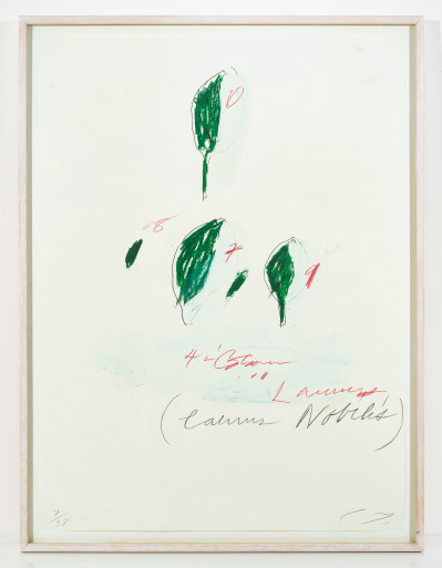 Cy Twombly - Laurus Nobilis, from: Natural History, Part II, Some Trees of Italy
