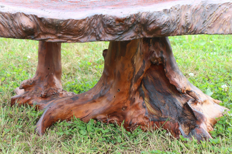 Modern Burl Elm Rootwood Coffee Table