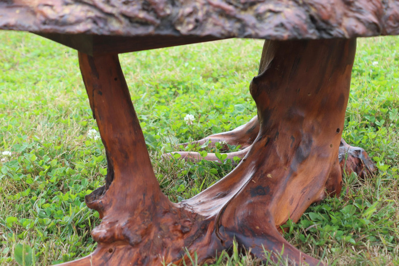 Modern Burl Elm Rootwood Coffee Table