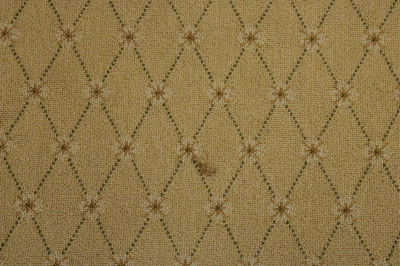 Contemporary Custom Carpet