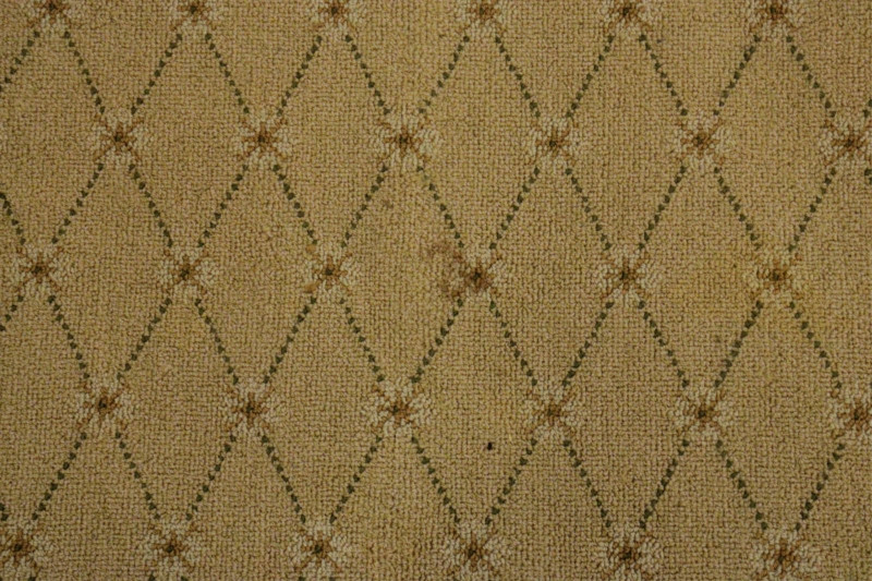 Contemporary Custom Carpet