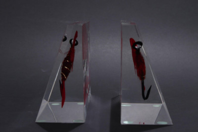 Acrylic Clear Float Bookends & Table Lighters