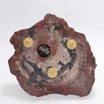 Petrified Wood Slab, once a Clock