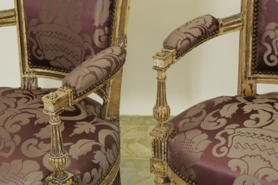 Pair of Directoire Style Fauteuil