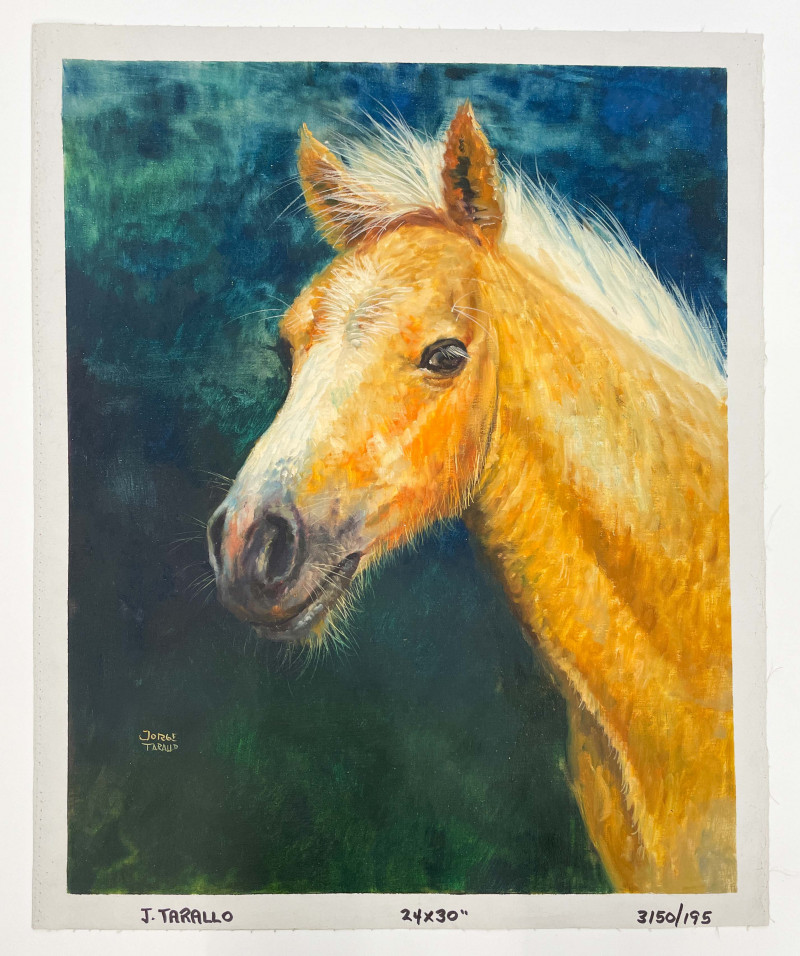 Jorge Tarallo Braun - Golden Horse