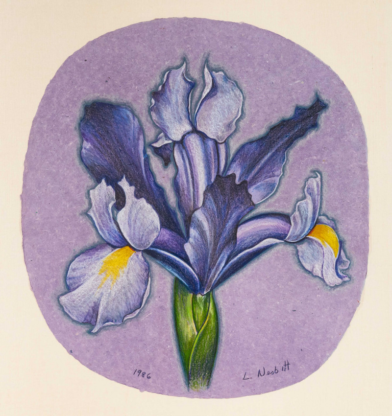 Lowell Nesbitt - Violet Iris