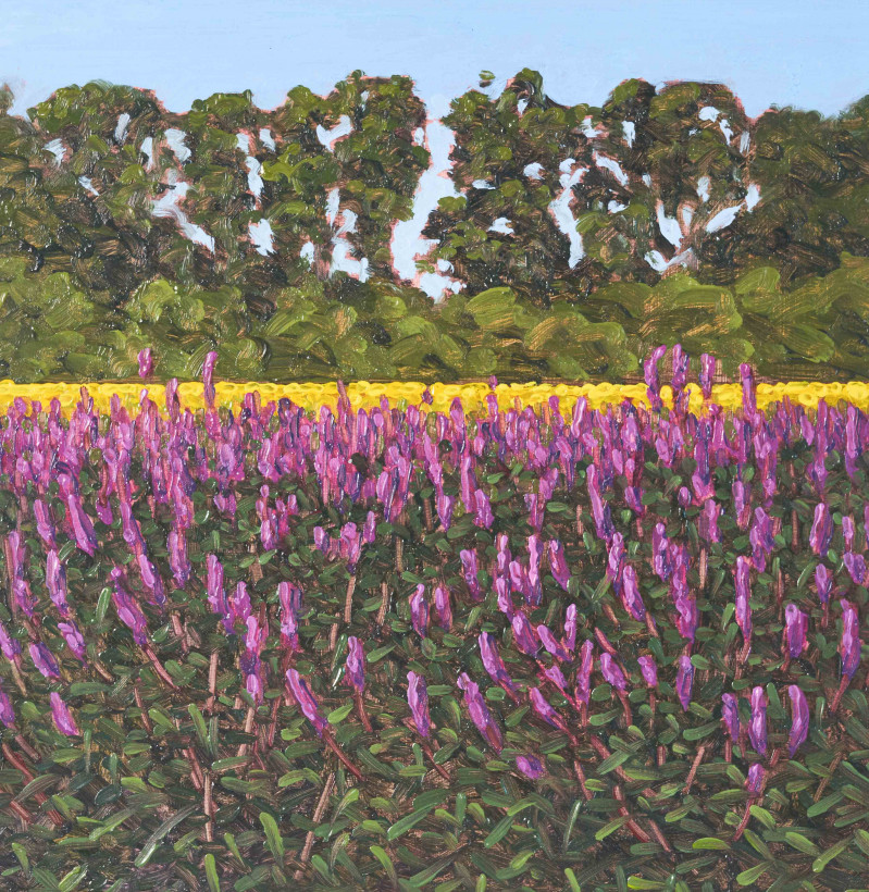 Thomas Sarrantonio - Pair of Field with Purple Flowers paintings