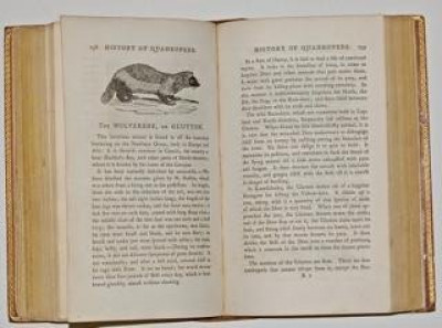 Image for Lot Thomas BEWICK General History of Quadrupeds. 1791