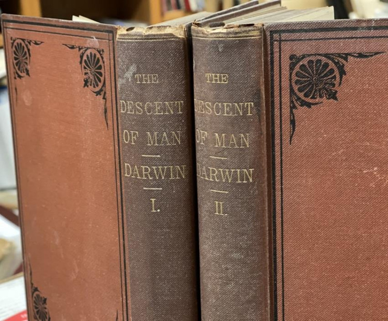 C. DARWIN Descent of Man NY 1871