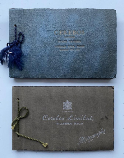[Two 'Cerebos' salt albums, with mounted photographs]