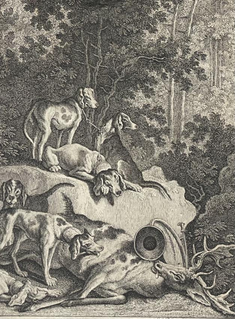 J. RIDINGER Engraving 'Deutsche Jagt Hunde ' Dogs