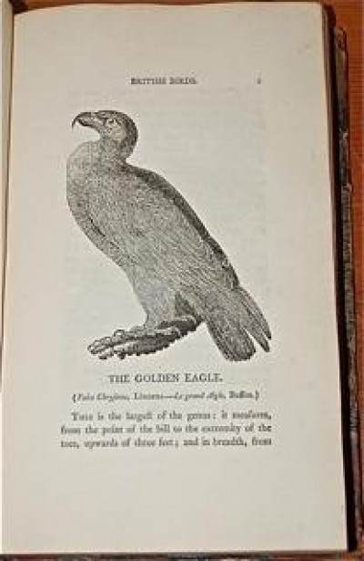 Thomas BEWICK History of British Birds 1805 2 vols