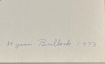 [PHOTOGRAPHY] Wynn Bullock 1971 signed copy