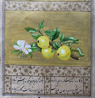 Image for Lot [ISLAMIC School] [Apples: a single antique leaf]