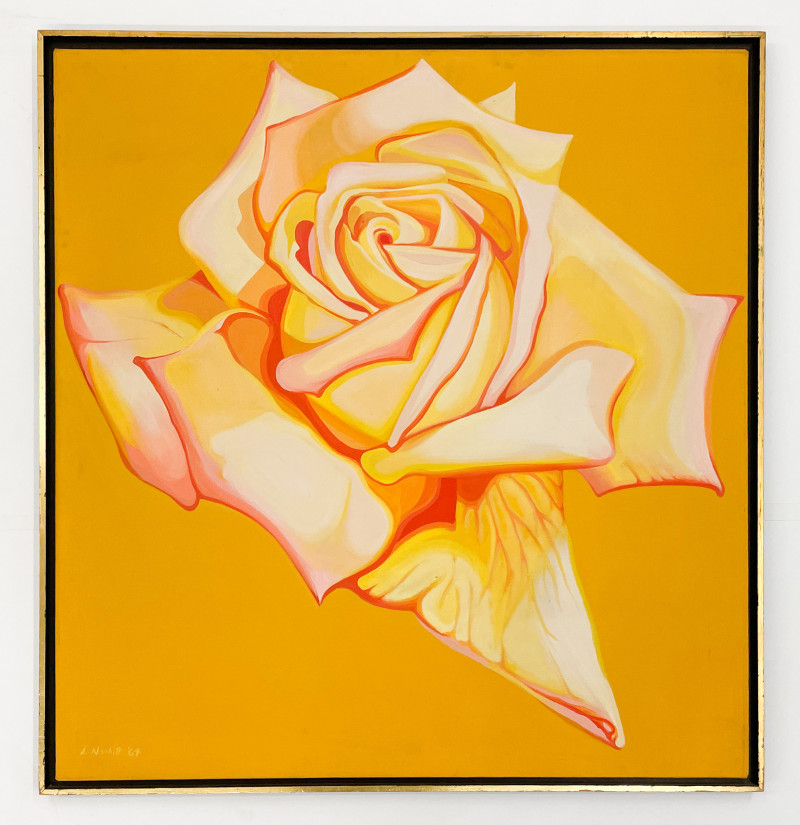 Lowell Nesbitt - Rose in Yellow