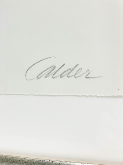 Alexander Calder - Charpente de Fer