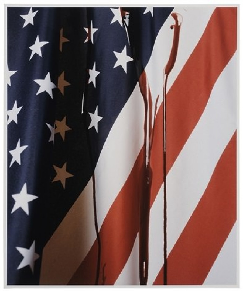 Andres Serrano - Blood on the Flag