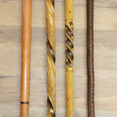 Collection of Canes & Walking Sticks
