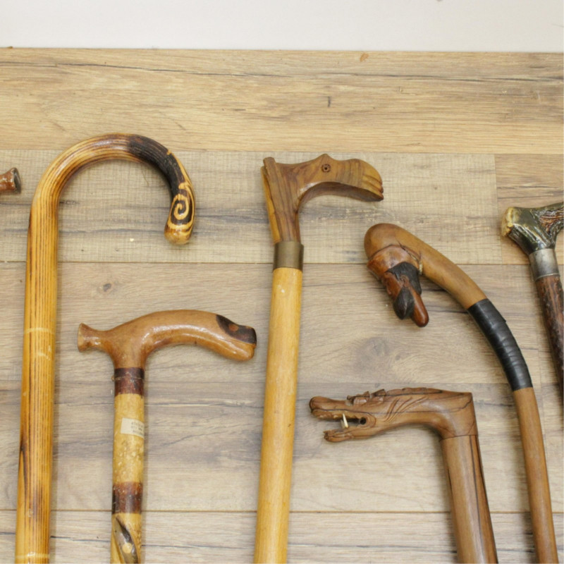 Collection of Canes & Walking Sticks