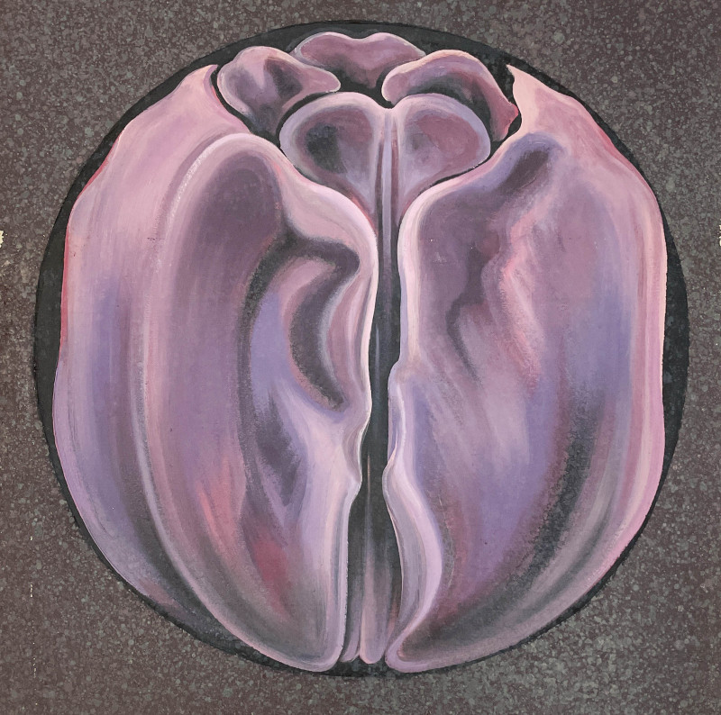 Lowell Nesbitt - Violet Tulip In Circle