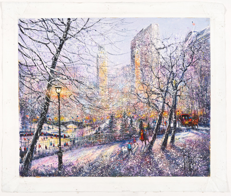 Guy Dessapt - New York Central Park in Winter