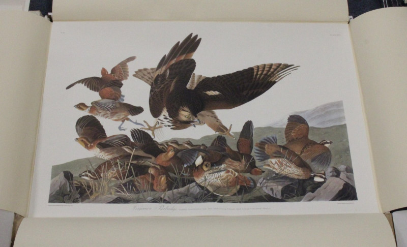 Aftr John James Audubon Birds of America Portfolio