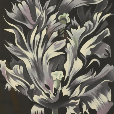 Image for Lot Lowell Nesbitt - Black Tulips