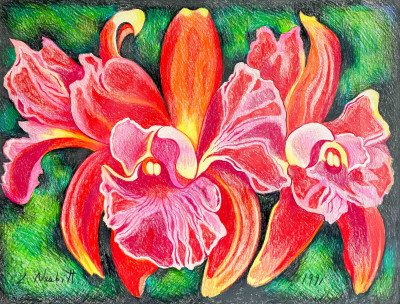 Lowell Nesbitt - Untitled (Red Orchids)