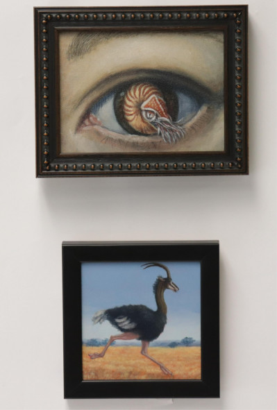 Image for Lot Sandra Yagoi - Nautilus Eye and Ostrich
