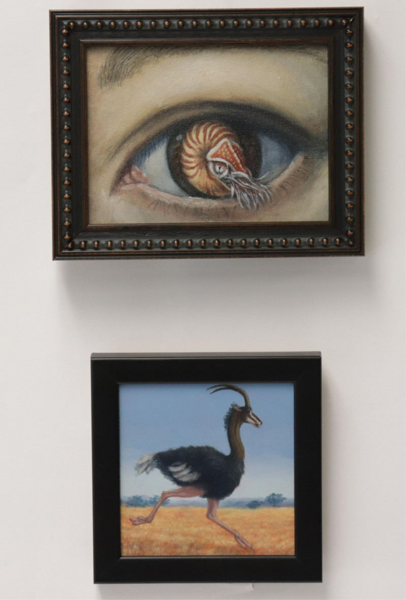 Sandra Yagoi - Nautilus Eye and Ostrich