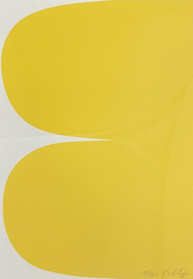 Image for Lot Ellsworth Kelly - Yellow Curves