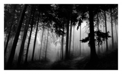 Robert Longo - Fairmount Forest