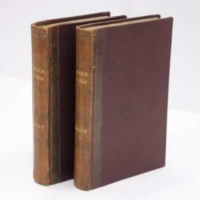 Image for Lot Wood Index second edition18251828 2 vols