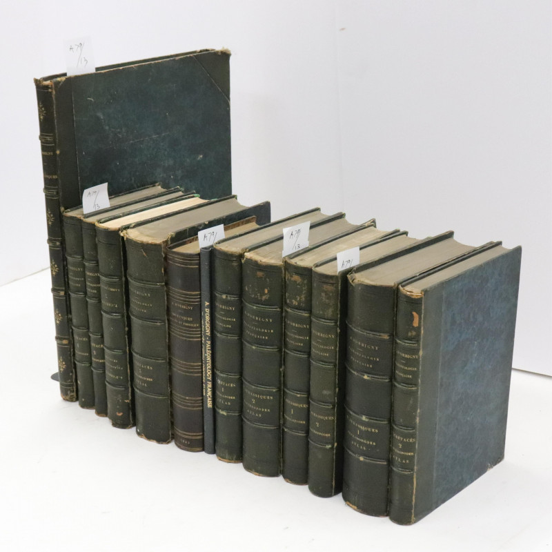 Group of 13 volumes by d'Orbigny