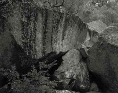 Image for Lot Ansel Adams Fallen Rock Yosemite
