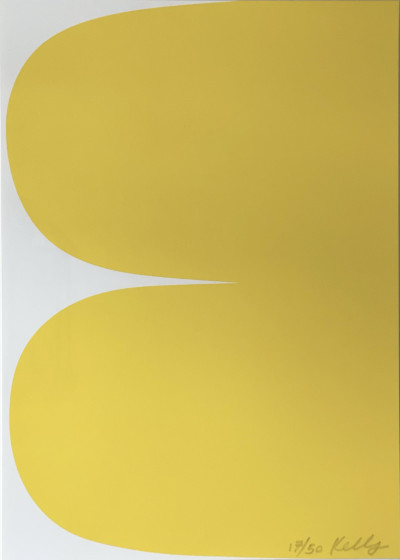 Image for Lot Ellsworth Kelly Yellow Curves
