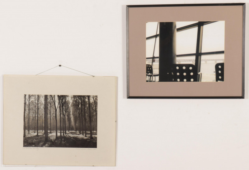 Two B&W Photographs - Trees, Bridge Landscapes