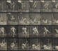 Image for Artist Eadweard Muybridge