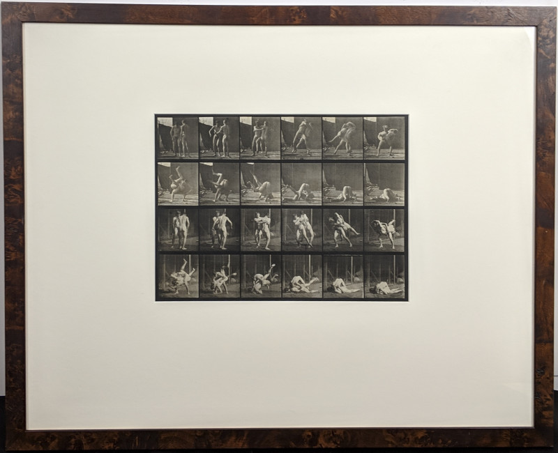Eadweard Muybridge - Animal Locomotion: Plate 348 (Wrestlers)