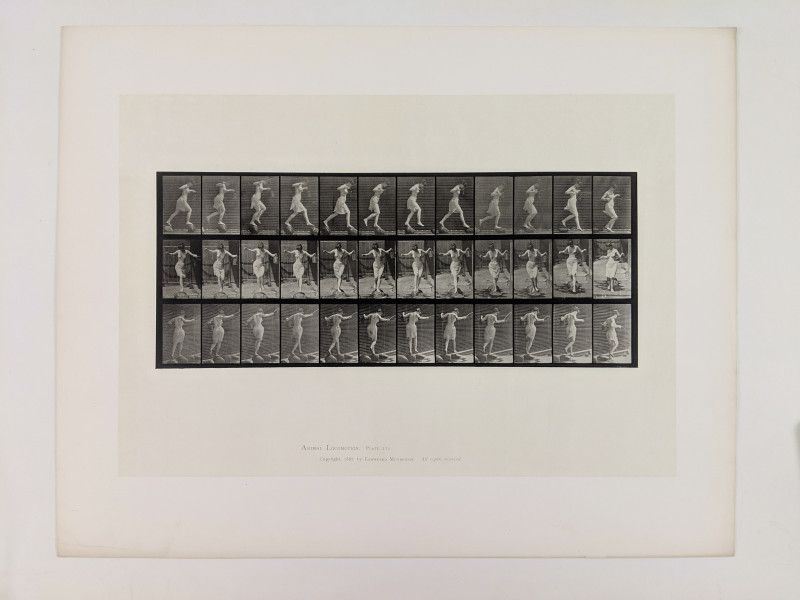 Eadweard Muybridge - Animal Locomotion: Plate 175 (Skipping Stones)