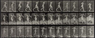 Eadweard Muybridge - Animal Locomotion: Plate 175 (Skipping Stones)