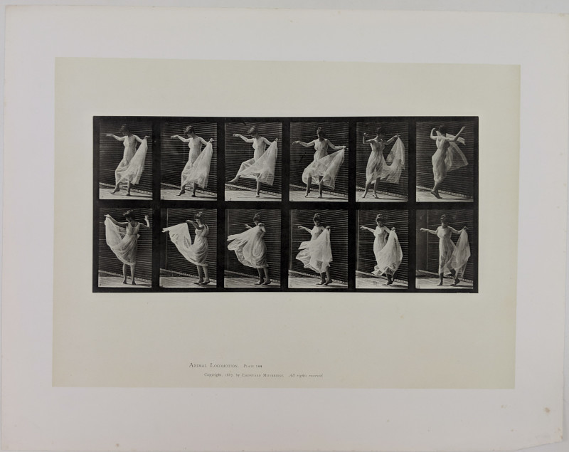 Eadweard Muybridge - Animal Locomotion: plate 189